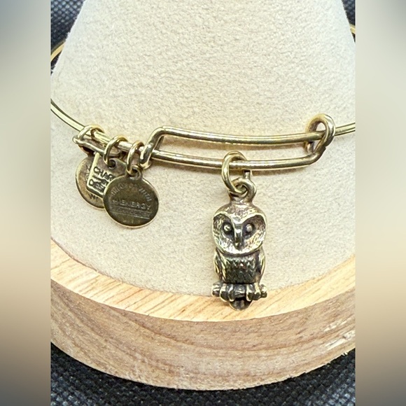 🦉ALEX AND ANI🦉Owl Charm Bangle in Shiny Gold/EUC - Picture 2 of 7